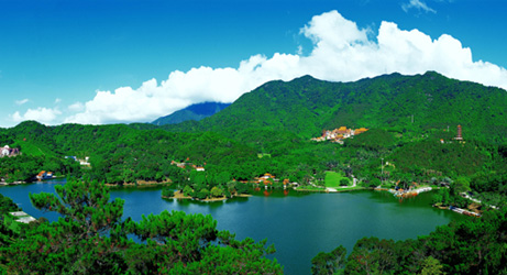 Shenzhen Fairy Lake Botanical Garden